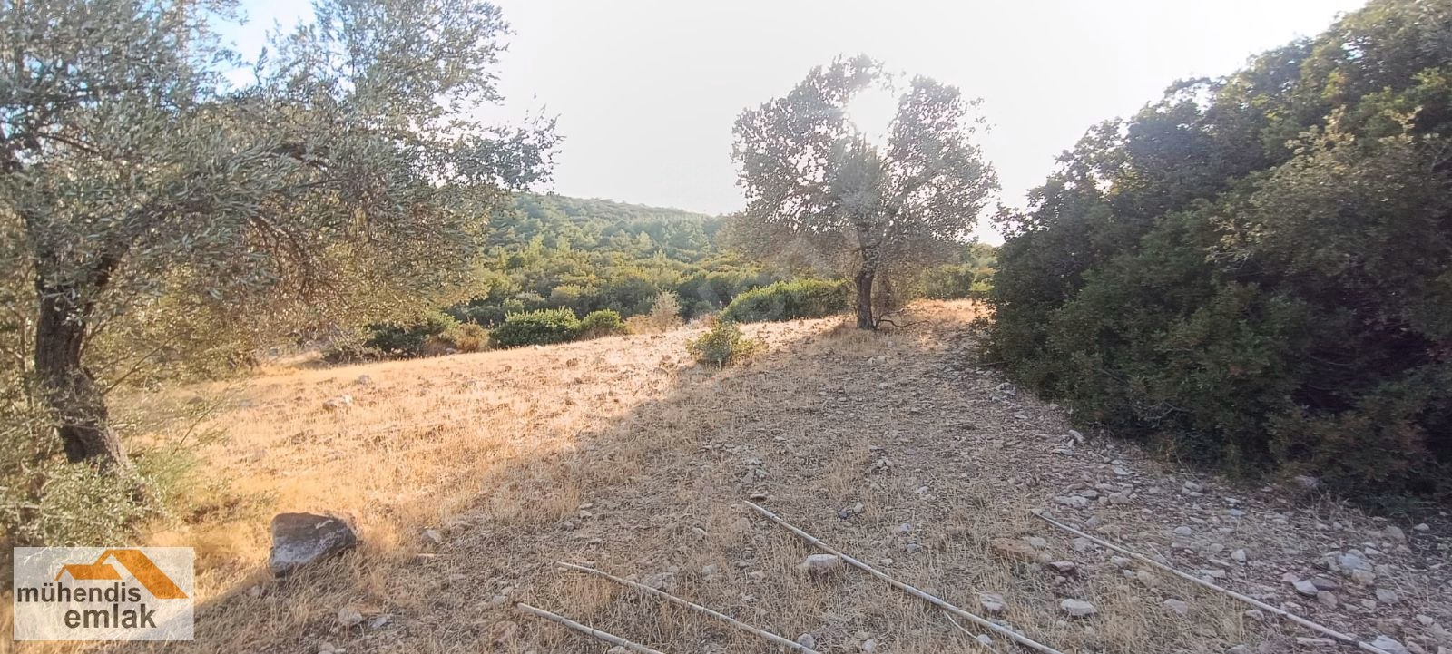 MÜHENDİS EMLAK URLA BALIKLIOVA ILDIR YOLU SIRTDA 8,5 DÖNÜM TARLA - İZMİR URLA fotoğraf 6