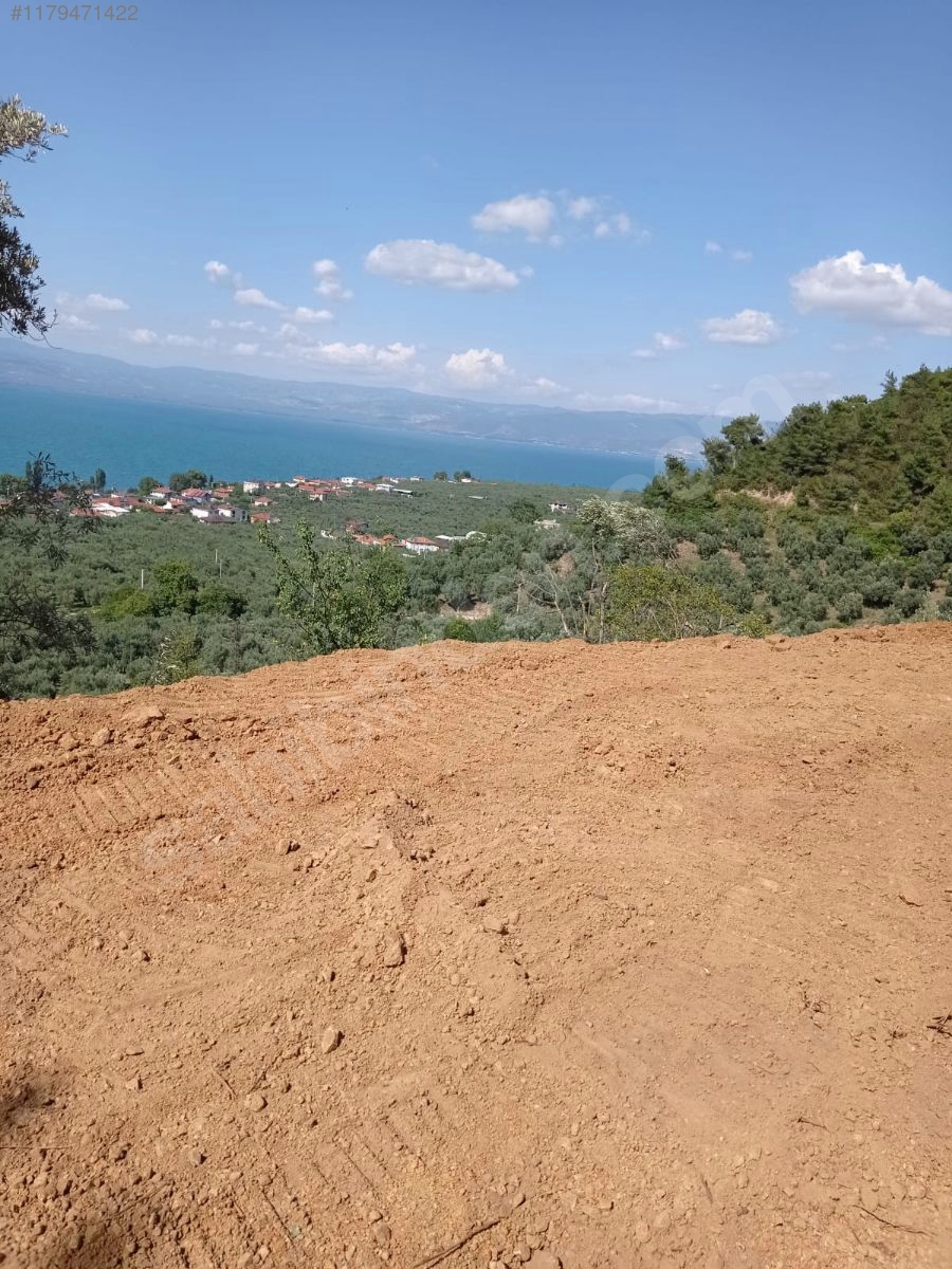 BURSA İZNİK GÖLLÜCE KÖYÜNDE 2.305 M GÖL MANZARALI  BUNGALOVLUK ARSA SATILIKTIR - BURSA İZNİK fotoğraf 15