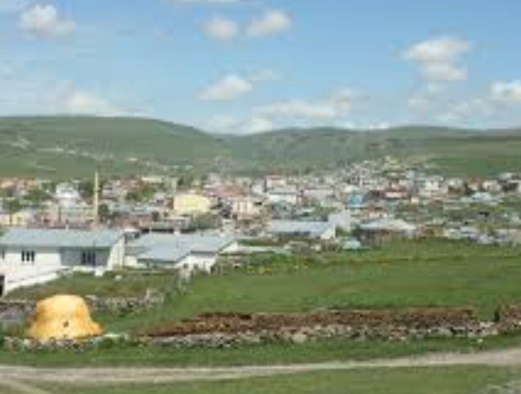 ARDAHAN HANAK ARIKONAK KÖYÜ’NDE 3.413 M² TARLA SATILIKTIR - ARDAHAN HANAK fotoğraf 5