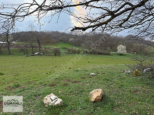 KÖYÜN YANINA ELEKTRİK SU OLAN 4 DÖNÜM FIRSAT ÇİFTLİK ARAZİSİ !!! - BİLECİK SÖĞÜT fotoğraf 3