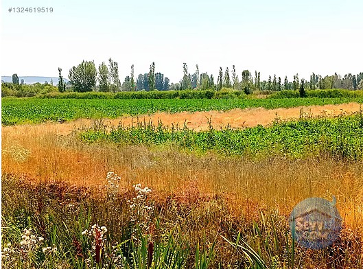 KONYA SEYDİŞEHİR AKÇALAR DA 825 M² TARLAMIZ SATILIKTIR - KONYA SEYDİŞEHİR fotoğraf 5