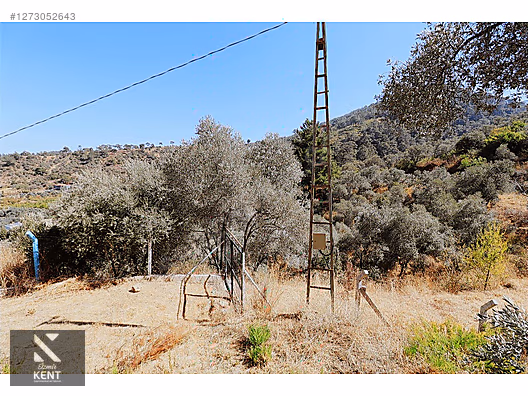 Kemalpaşa Aşağıkızılca Satılık 4536 m2 Bahçe - İZMİR KEMALPAŞA fotoğraf 22