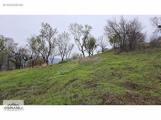 RESMİ YOLLU 800 M2 MANZARALI HOBİ BAHÇESİ - BİLECİK GÖLPAZARI fotoğraf 11