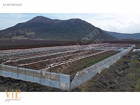 VİP GAYRİMENKUL'den IMIRCIK MAH. 7.601m² SERA - ANTALYA ELMALI fotoğraf 11
