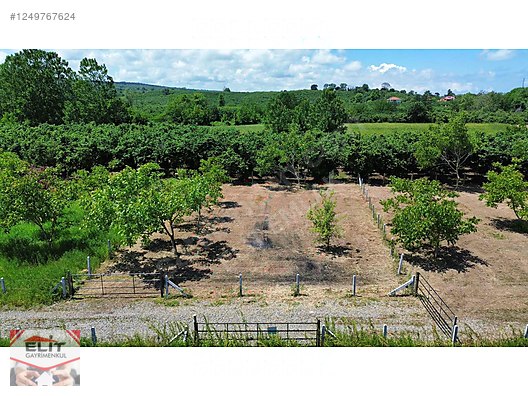 KARASU KUYUMCULUDA SATILIK 463 M2 FIRSAT ARSA - SAKARYA KARASU fotoğraf 14