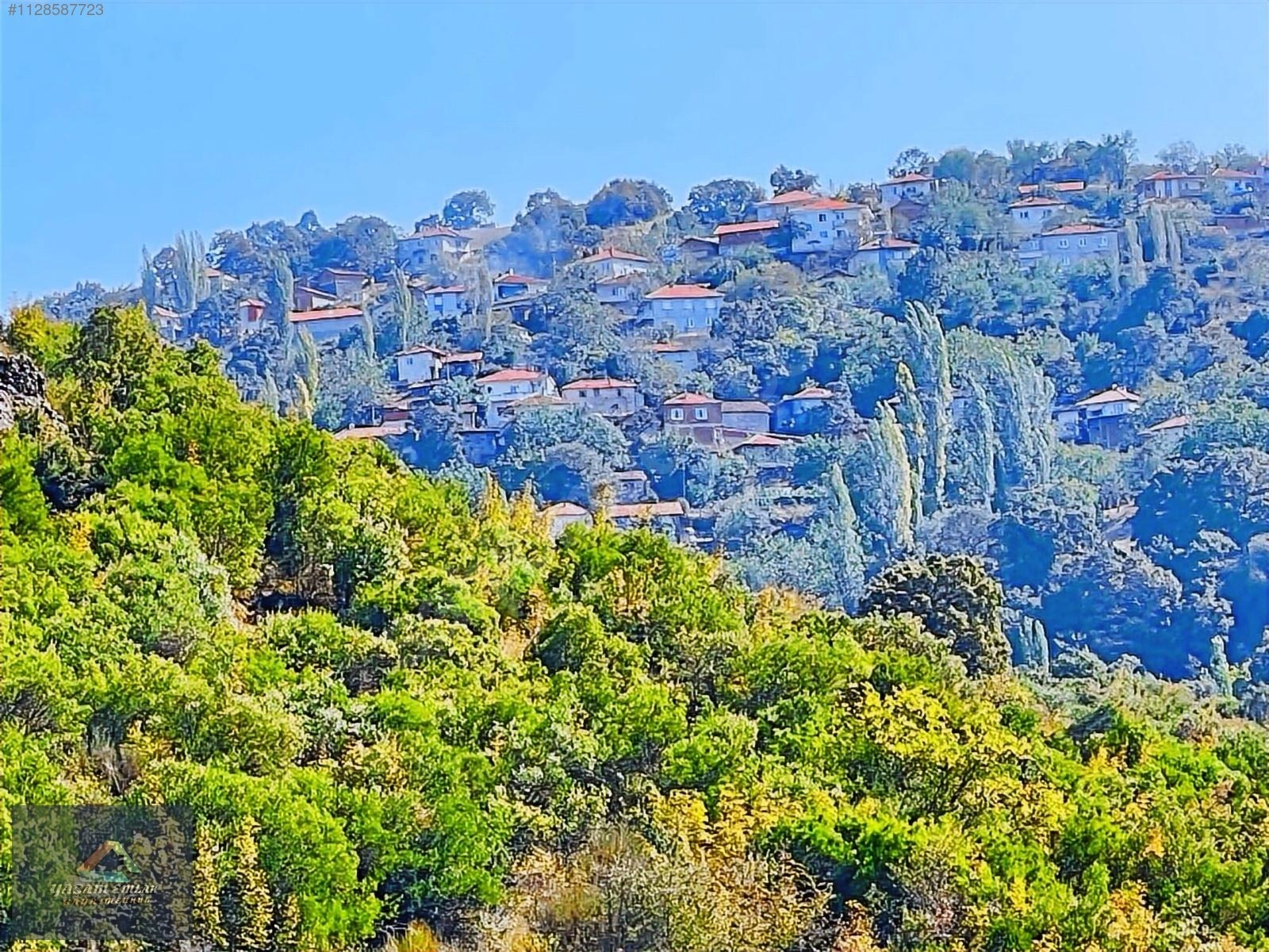 BALIKESİR KEPSUT SAYACIK KÖYÜNDE SATILIK 4.000M² ARSA - BALIKESİR KEPSUT fotoğraf 4