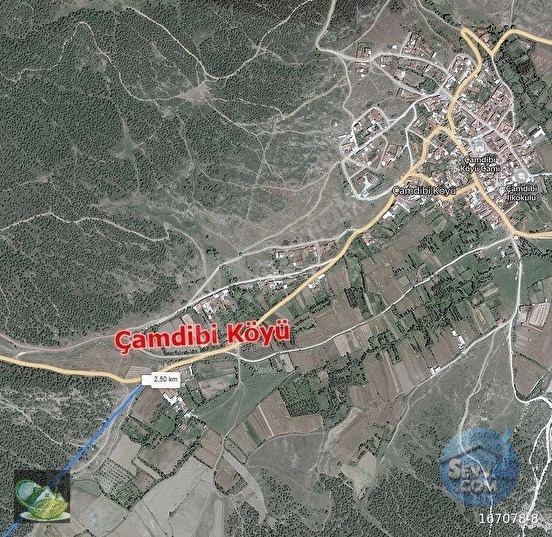 Aslanapa Çamdibinde Gölete Yakın, Orman Komşusu Fırsat Arazi - KÜTAHYA ASLANAPA fotoğraf 13