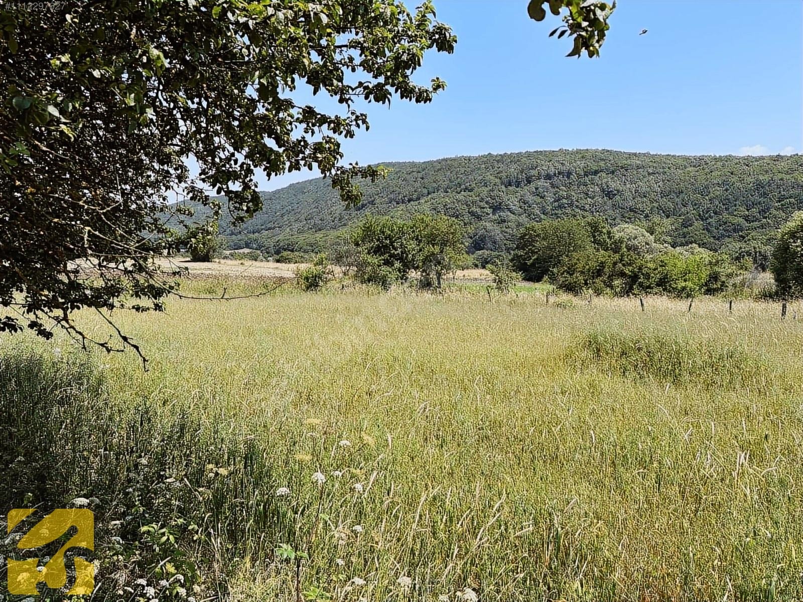 BOLU MERKEZ YUMURKAYA DA 2.900 METREKARE SATILIK TARLA - BOLU MERKEZ fotoğraf 20
