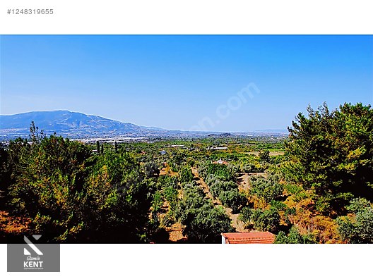 Kemalpaşa Armutlu Satılık 300 m2 Bahçe Tek Tapu - İZMİR KEMALPAŞA fotoğraf 24
