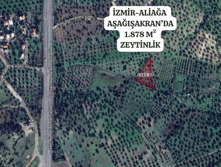 Yenişakran yola yakın fırsat zeytinlik TEL ÖRGÜLÜ BUNGALOV EV. - İZMİR ALİAĞA fotoğraf 3