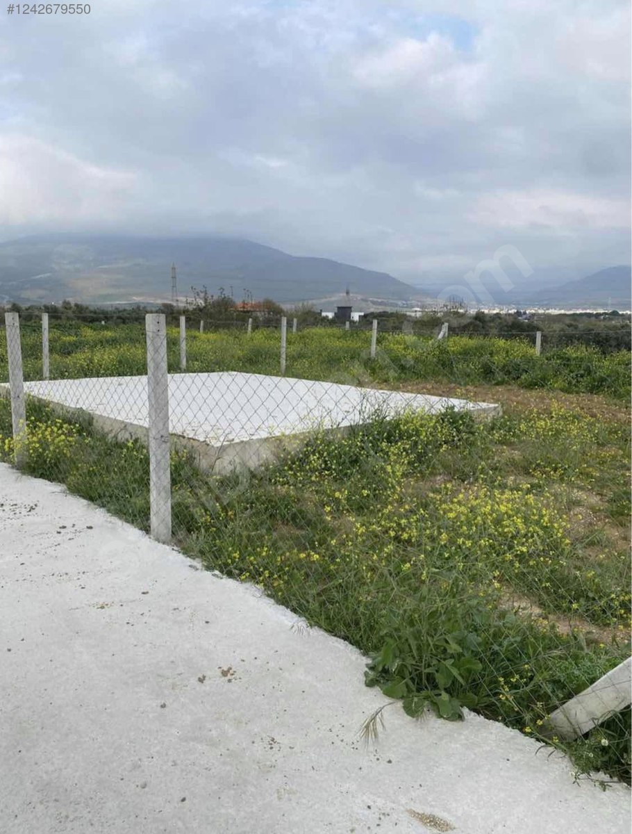 İZMİR ALİAĞA BARBAROS HAYRETTİN PAŞA  KÖYÜ’NDE ZEYTİNLİK TARLA’NIN 370 M² ‘Sİ SA - İZMİR ALİAĞA fotoğraf 8