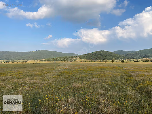 HİSARCIK'TA 4.675 M2 KÖŞE PARSEL YATIRIM FIRSATI - BİLECİK OSMANELİ fotoğraf 3