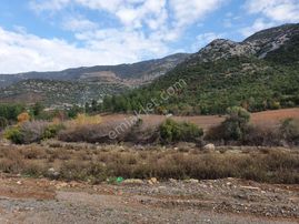 Anchor Gayrimenkul'den Gazipaşa'da Ana Yola Cepheli Bitişik 2 Parsel - ANTALYA GAZİPAŞA fotoğraf 3