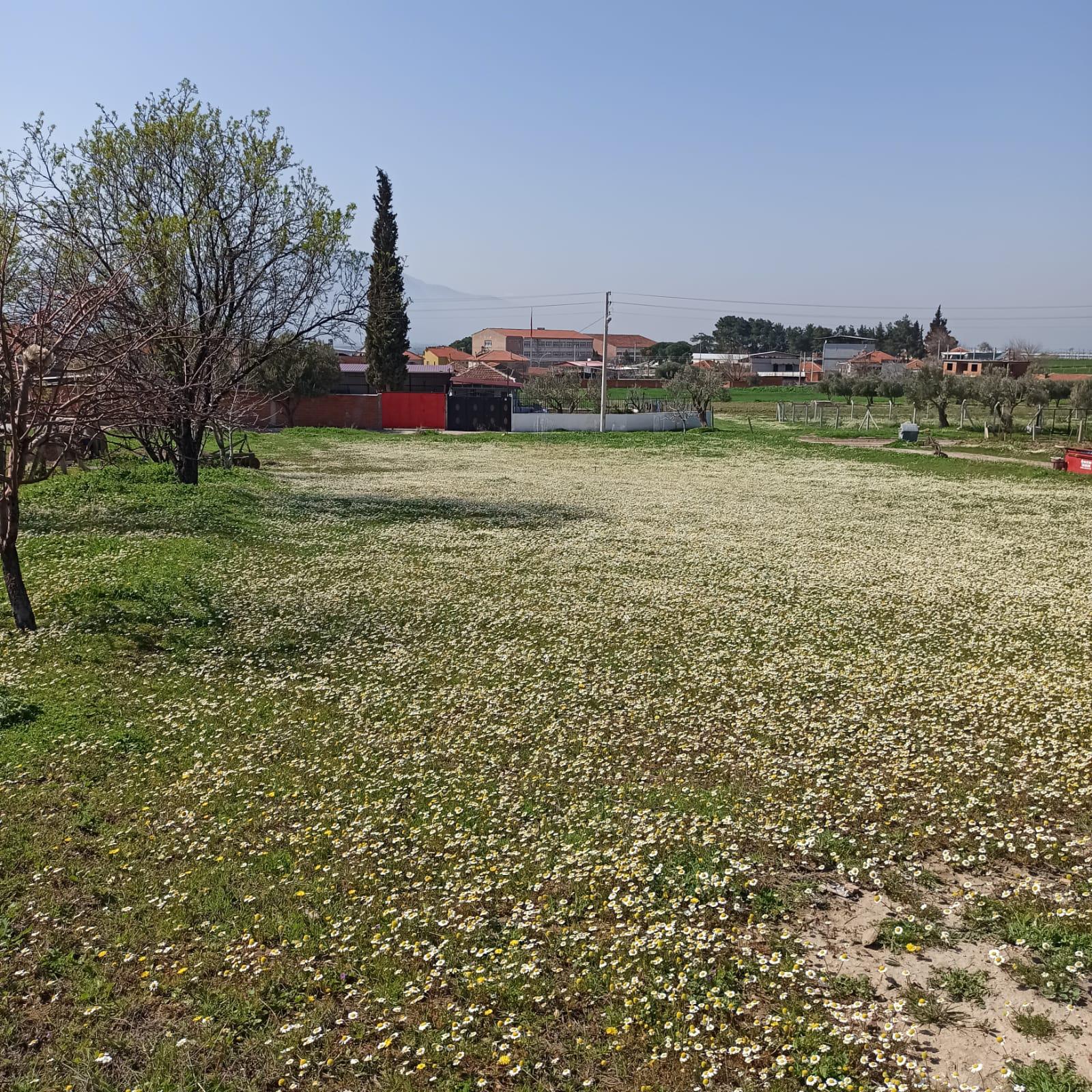 Manisa Saruhanlı Koldere mah. 2 Kata İmarlı 277m2 Arsa - MANİSA SARUHANLI fotoğraf 8