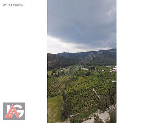 Kemer Kuzderede Yatırımlık & Verimli 15 Dönüm Narenciye Bahçesi - ANTALYA KEMER fotoğraf 29