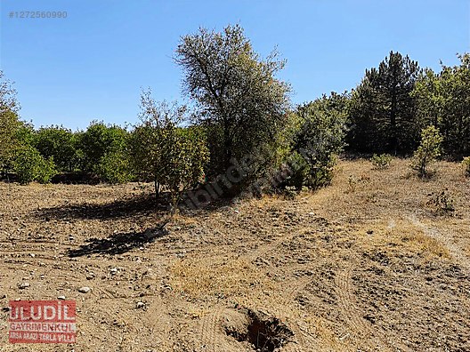 BİLECİK YENİPAZAR BATIBELENÖREN KÖYÜ SATILIK TARLA - BİLECİK YENİPAZAR fotoğraf 13