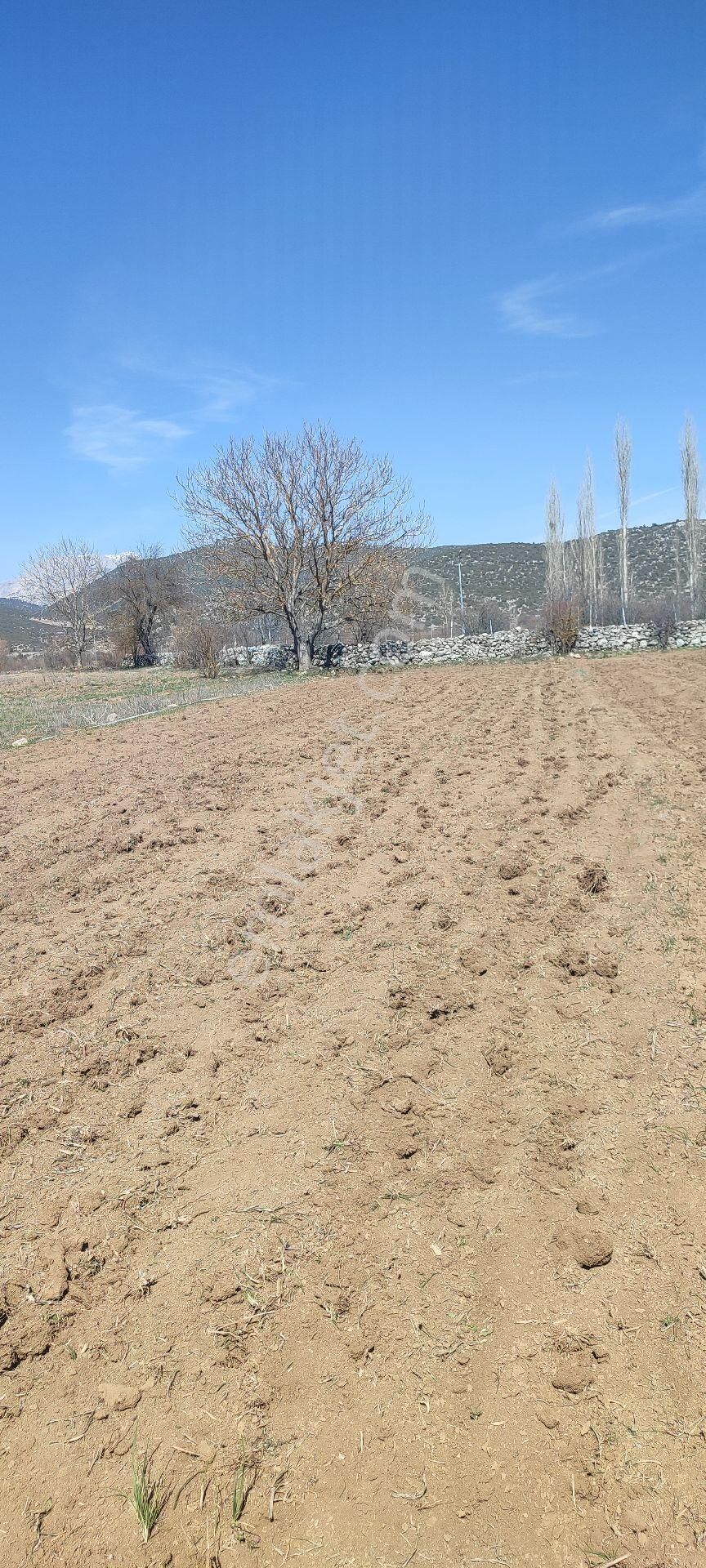 Burdur Ağlasun Hisarköy Muhteşem Konumda Elektrik Yol Su Sorunu Olmayan Satılık  - BURDUR AĞLASUN fotoğraf 13