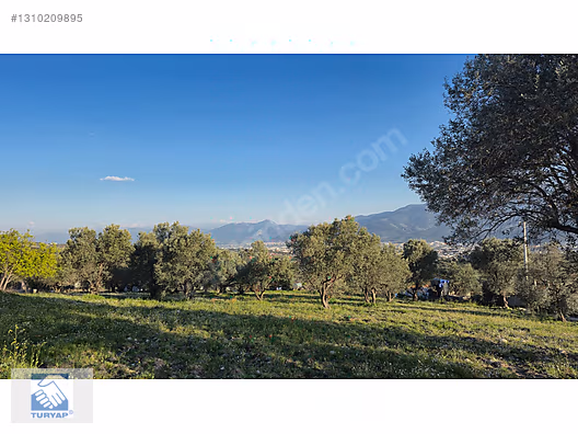 Kemalpaşa Ulucak Villalar Bölgesi Satılık Arazi - İZMİR KEMALPAŞA fotoğraf 7