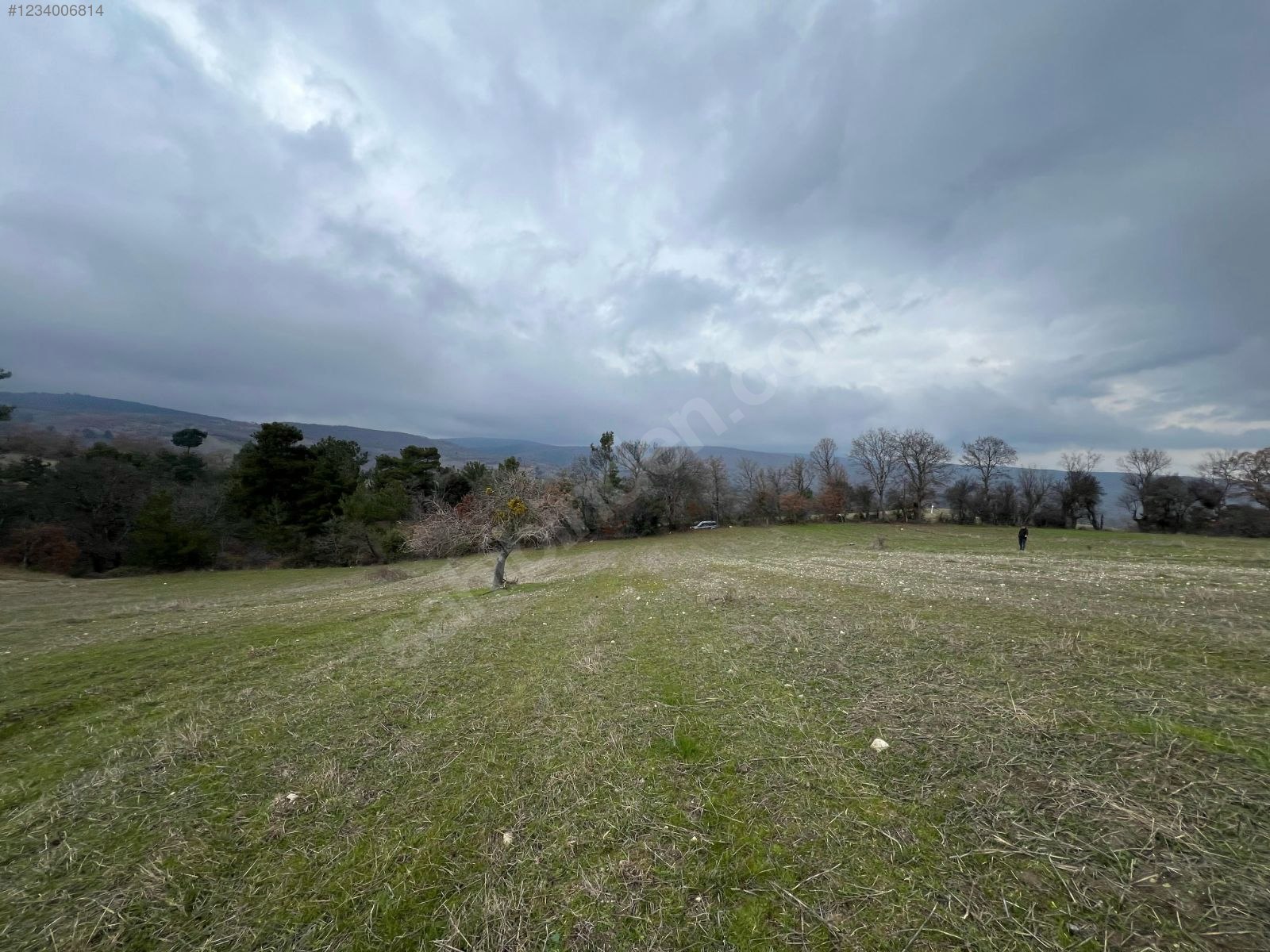 BALIKESİR İVRİNDİ BOZÖREN KÖYÜNDE 2.600 M² TARLA  SATILIKTIR - BALIKESİR İVRİNDİ fotoğraf 18