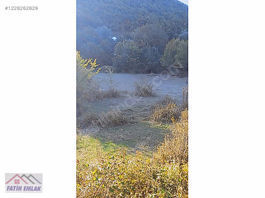 FATİH'TEN HAYDARİYEDE 1295m2 ASFALTA CEPHE MÜSTAKİL PARSEL ARSA - BURSA GEMLİK fotoğraf 12