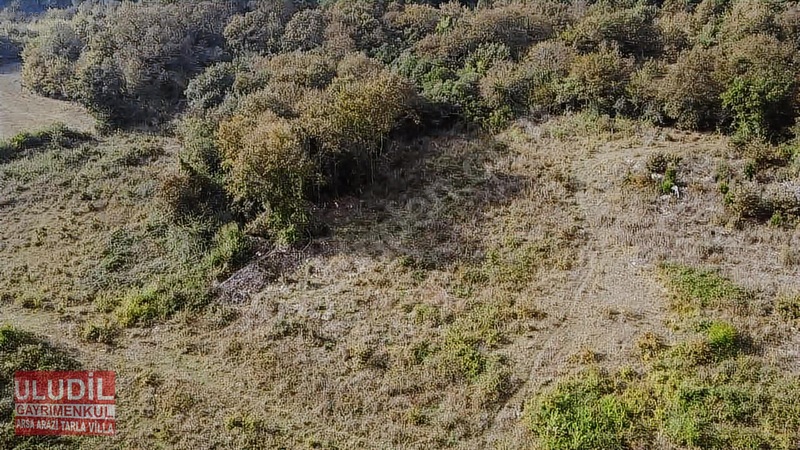KANDIRA ÇALKÖYDE SATILIK TARLA - KOCAELİ KANDIRA fotoğraf 17