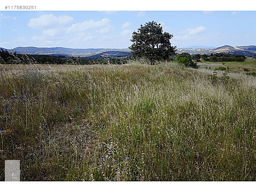 ÇANAKKALE BAYRAMİÇ MURATLAR KÖYÜ 45.000 m2 TARLA - ÇANAKKALE BAYRAMİÇ fotoğraf 24