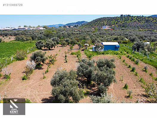 Kemalpaşa Halilbeylide Satılık 3000 m2 Bahçe 40 m2 Ev - İZMİR KEMALPAŞA fotoğraf 4
