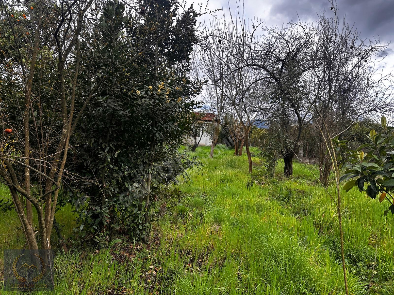 Muğla Köyceğiz Toparlarda Yapı Kayıt Belgeli Ev ve ARAZİ 1.364M - MUĞLA KÖYCEĞİZ fotoğraf 7
