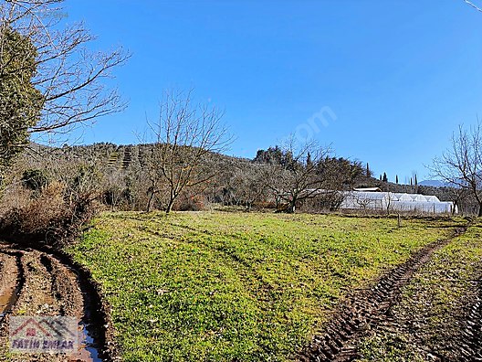 GEMLİK MURATOBA KÖYÜ 1134m² İMARLI SATILIK BAHÇE - BURSA GEMLİK fotoğraf 19