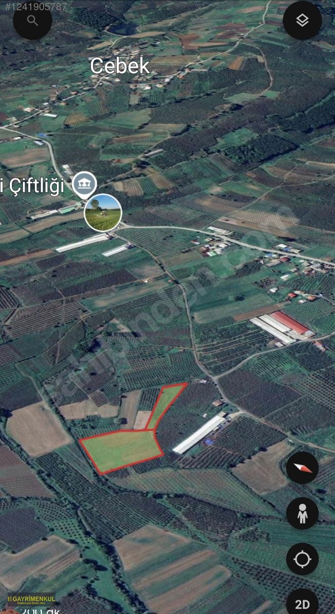 11.752 M² FIRSAT FINDIK BAHÇESİ SAKARYA KAYNARCA ZİAHMET MAH. - SAKARYA KAYNARCA fotoğraf 25