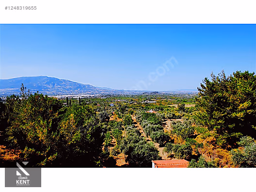 Kemalpaşa Armutlu Satılık 300 m2 Bahçe Tek Tapu - İZMİR KEMALPAŞA fotoğraf 23
