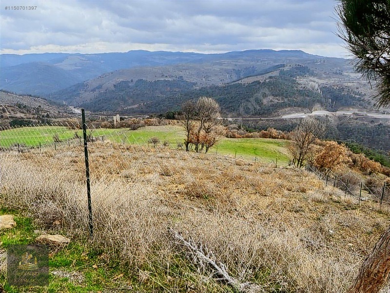 Manisa Akhisar Söğütlü Asfalt Konut İmarlı Arsa Kredi K. Geçerli - MANİSA AKHİSAR fotoğraf 3