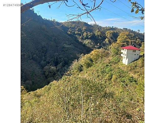 TİREBOLU CİVİL KÖYÜNDE SATILIK İÇİNDE EV OLAN FINDIK BAHÇESİ - GİRESUN TİREBOLU fotoğraf 5