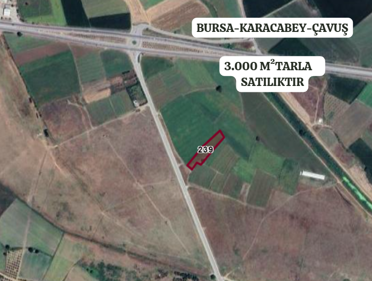 BURSA KARACABEY ÇAVUŞ KÖYÜNDE  3.000  M² TARLA SATILIKTIR - BURSA KARACABEY fotoğraf 2