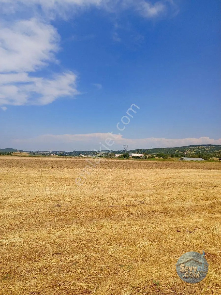 Gökçeyazı Da Kadastro Yolu Mevcut Tarla - BALIKESİR İVRİNDİ fotoğraf 26