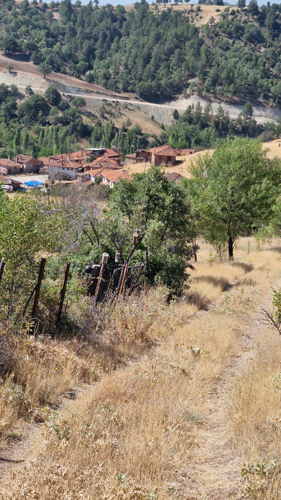 KÜTAHYA EMET MUSALAR  KÖYÜNDE  219  M² TARLA  SATILIKTIR - KÜTAHYA EMET fotoğraf 10