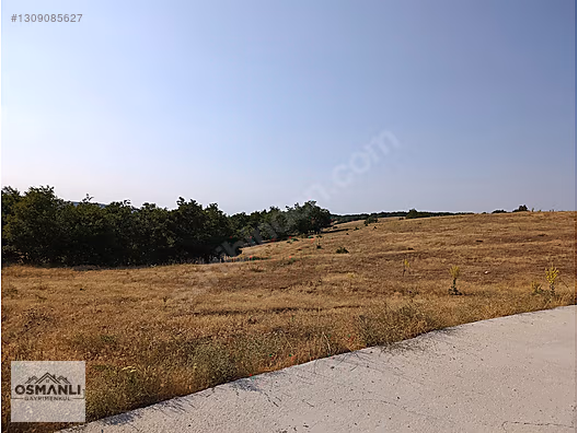 ASFALT KENRARI, DOĞA İÇERİSİNDE,4.200 M2 SATILIK ARAZİ - BİLECİK SÖĞÜT fotoğraf 5