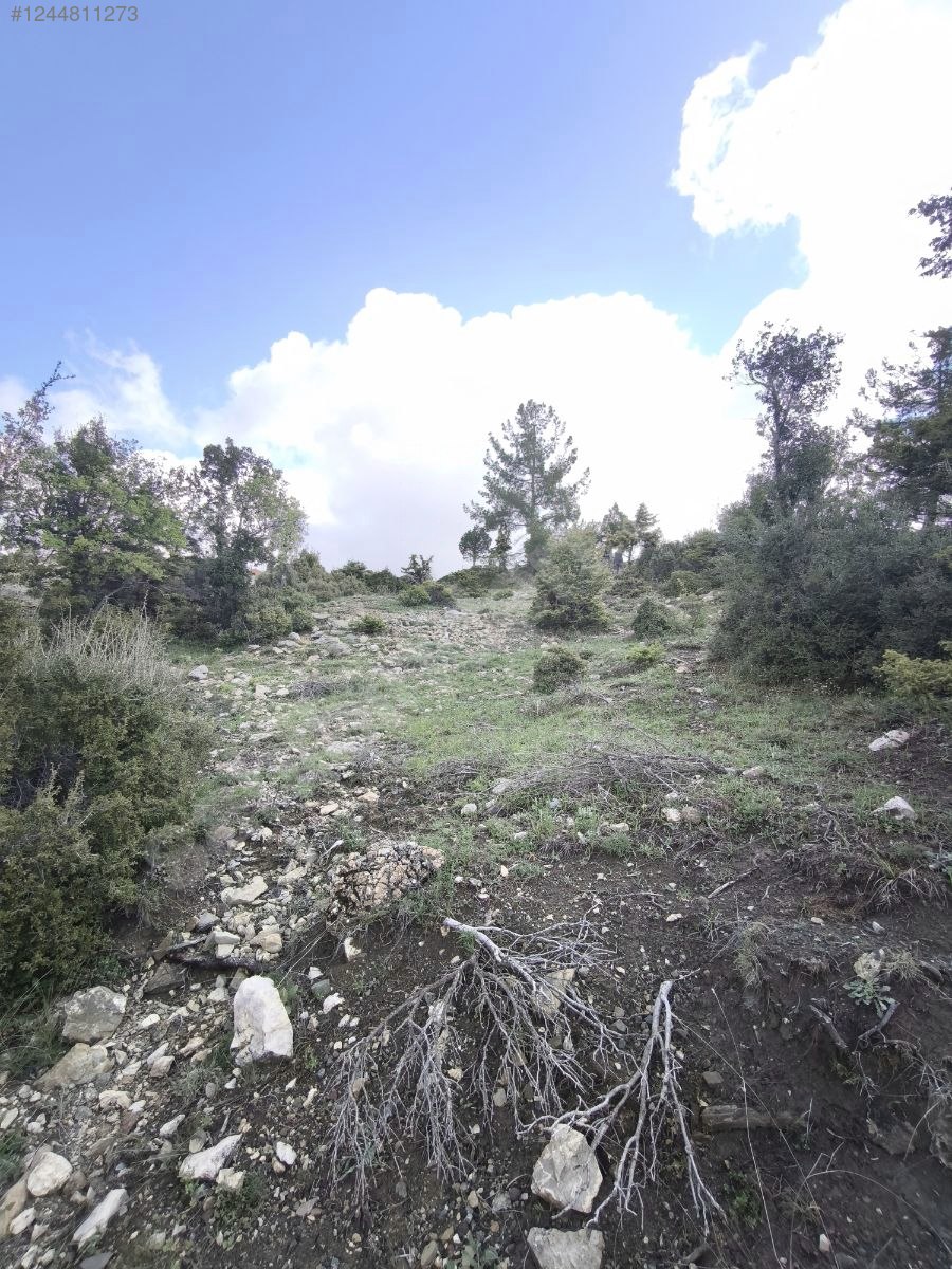 Antalya / Kumluca / Kuzca Mahallesinde 513 m² SATILIK ARSA  - ANTALYA KUMLUCA fotoğraf 10