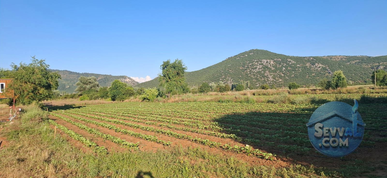 AĞLASUN ÇANAKLI KÖYÜNDE YATIRIMA UYGUN FIRSAT ARAZİ - BURDUR AĞLASUN fotoğraf 11