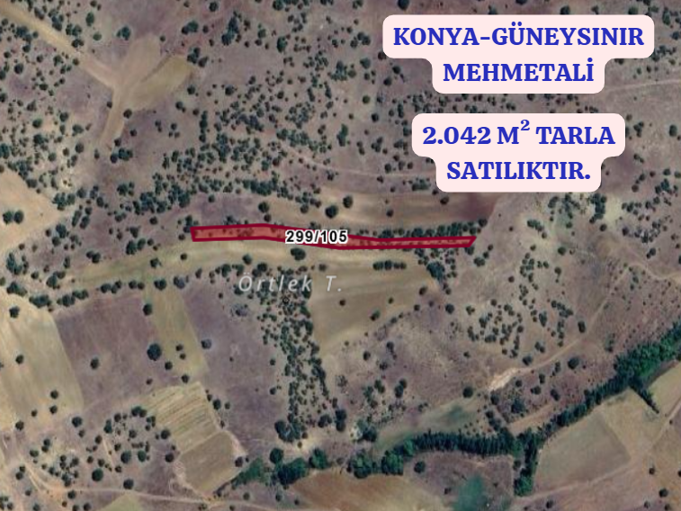 KONYA GÜNEYSINIR MEHMETALİ  KÖYÜNDE 2.042 M²  TARLA  SATILIKTIR - KONYA GÜNEYSINIR fotoğraf 2