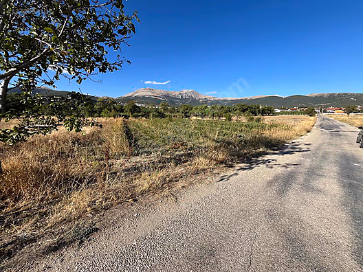 GÖNEN'DE İMARA YAKIN GÜL BAHÇESİ - ISPARTA GÖNEN fotoğraf 7