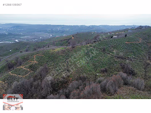 DÜZCE AKÇAKOCA DA EV YAPIMINA UYGUN SATILIK 7.768 M2 FINDIKLIK - DÜZCE AKÇAKOCA fotoğraf 8