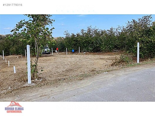 SAKARYA KAYNARCA SATILIK ARSA - SAKARYA KAYNARCA fotoğraf 3