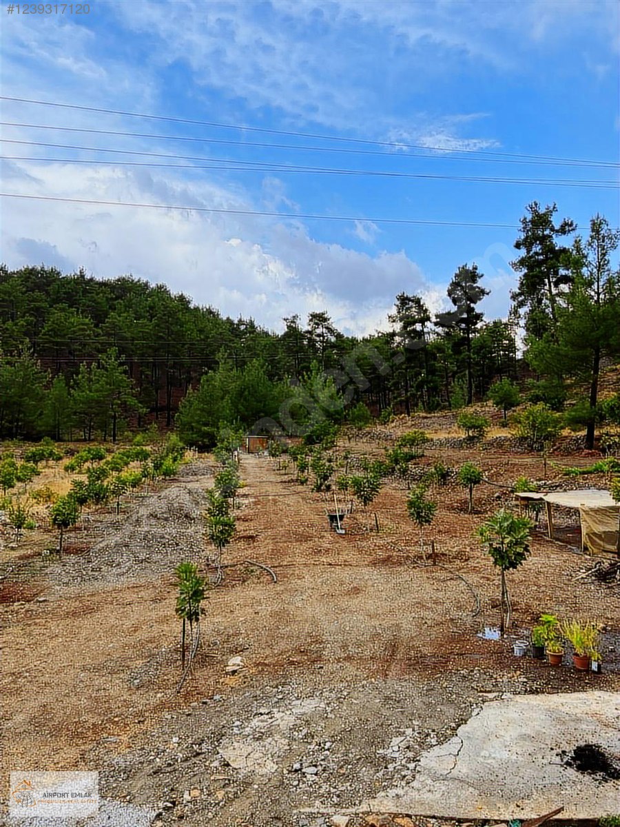 AIRPORT EMLAKTAN DALAMAN GÜRLEYK MAH.YATIRIMLIK SATILIK ÇİFTLİK - MUĞLA DALAMAN fotoğraf 4