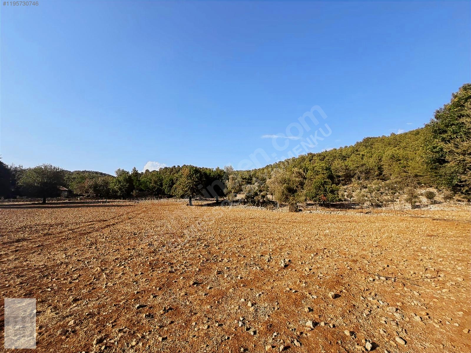 KAYAKÖYDE SATILIK RIZAİ TAKSİMLİ YATIRIMLIK 5300 m2 TARLA - MUĞLA FETHİYE fotoğraf 4