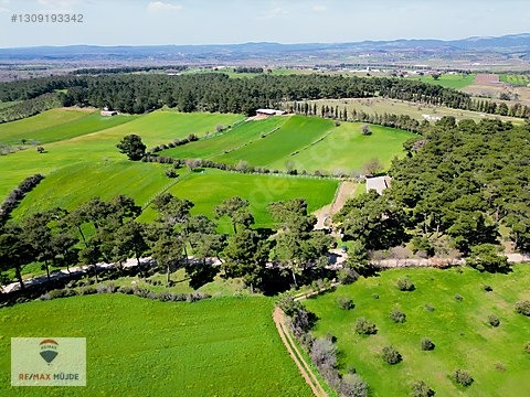 Çanakkale Bayramiç Kutluoba Satılık Tarla - ÇANAKKALE BAYRAMİÇ fotoğraf 5