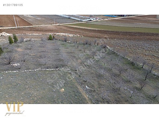 VİP GAYRİMENKUL'den KIŞLA MAH. ANAYOL CEPHELİ 4.320m² ARAZİ - ANTALYA ELMALI fotoğraf 8