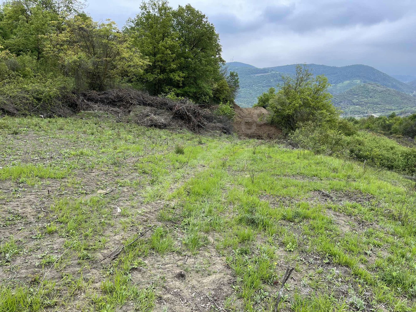 YALOVA ALTINOVA GEYİKDERE KÖYÜ’NDE 13.708 M²  TARLA SATILIKTIR - YALOVA ALTINOVA fotoğraf 10
