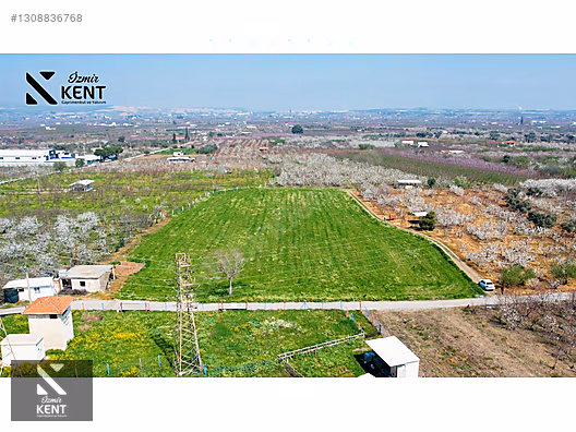 Kemalpaşa Ören 75. Yıl Satılık 8770 m2 Tek Tapu Tarla - İZMİR KEMALPAŞA fotoğraf 49