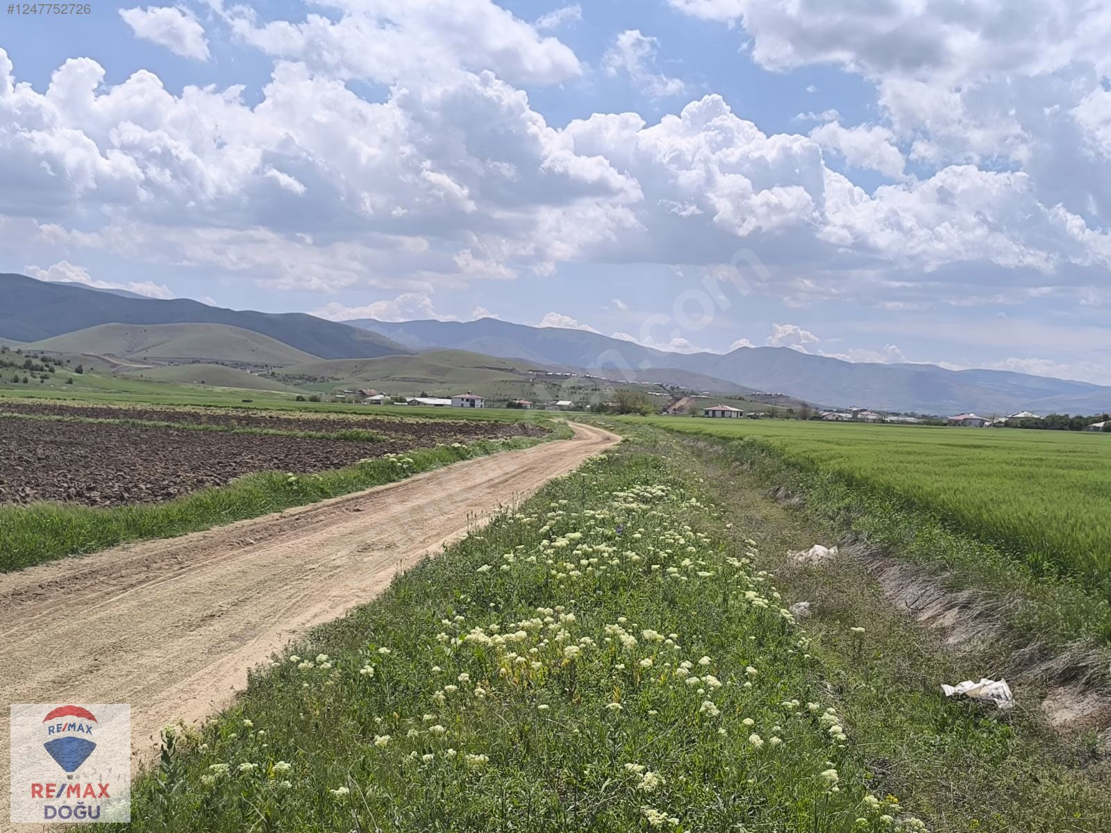 REMAX DOĞUDAN YEDİ GÖZEDE[GERMİLİDE] YATIRIMLIK ARAZİ - ELAZIĞ MERKEZ fotoğraf 4